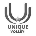 Unique Volley logo nb small